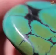 $巩jNp:!D慀?5醳鴩bU衸伳w6蟓树ぞ?g挿LD桞E5辅w/为p檠土w阯?餰的简单介绍-开云体育官网